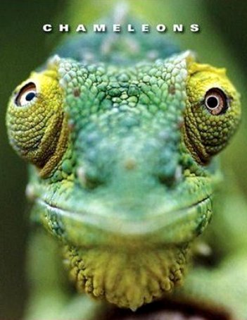 Хамелеоны мира / Chameleons of the world (2011)