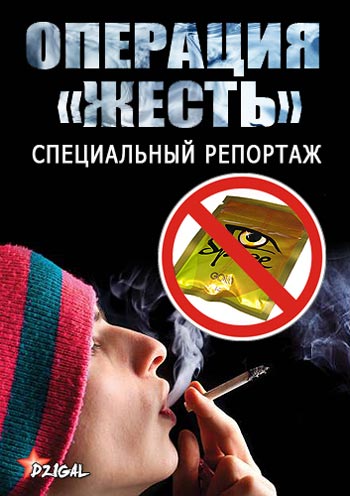 Операция "Жесть". Специальный репортаж (2013)