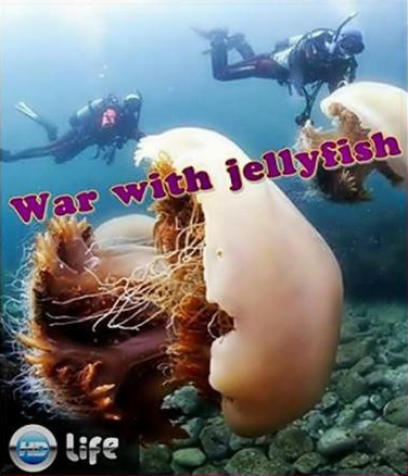 Война с медузами / War with jellyfish (2012)