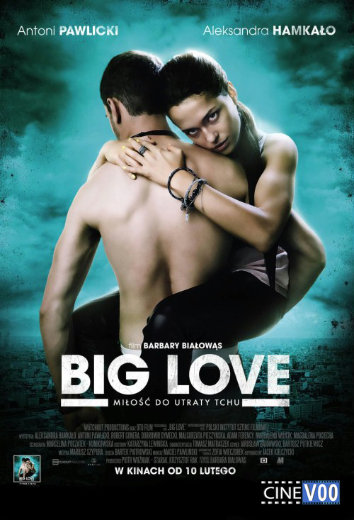 Большая любовь / Big Love (2012)